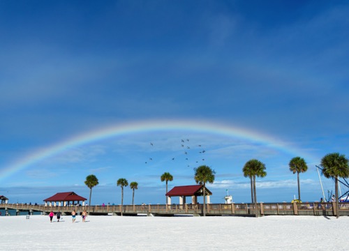 clearwaterfl
