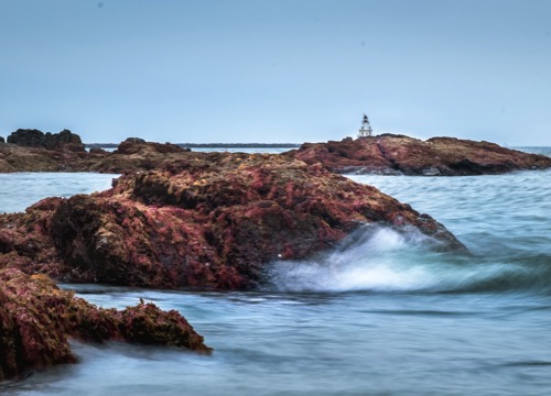 newhavenct